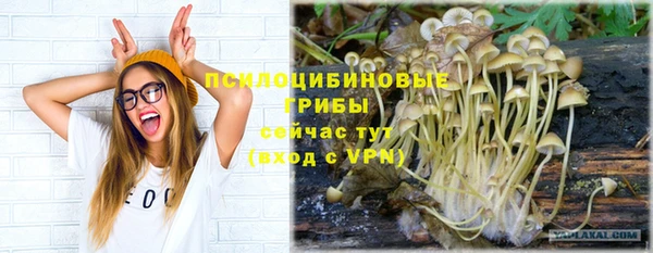 мет Семёнов