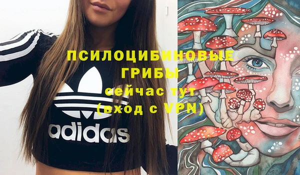 герыч Семилуки
